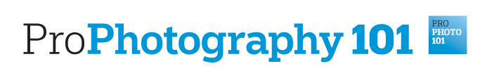 ProfessionalPhotography101logo